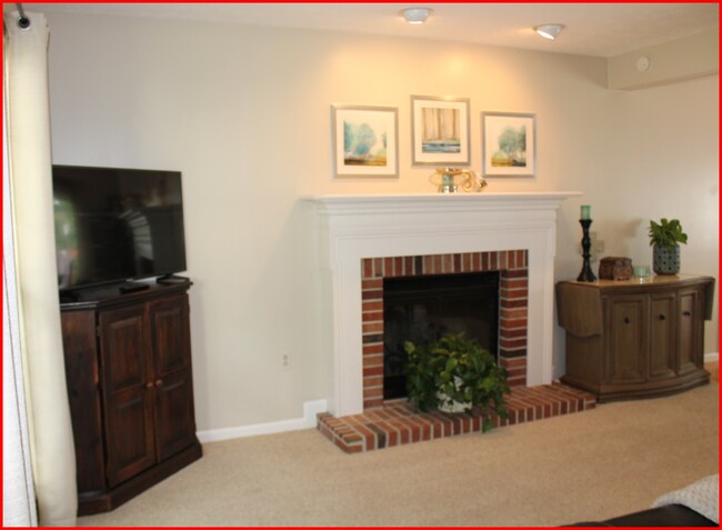 Sala de televisión - 411 Lundy Ct