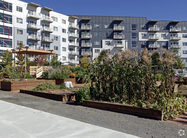 Foto del edificio - Residences at Creekside