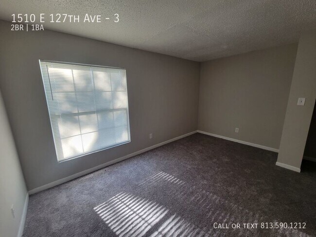 Building Photo - Beautifully Updated Tampa Apartment