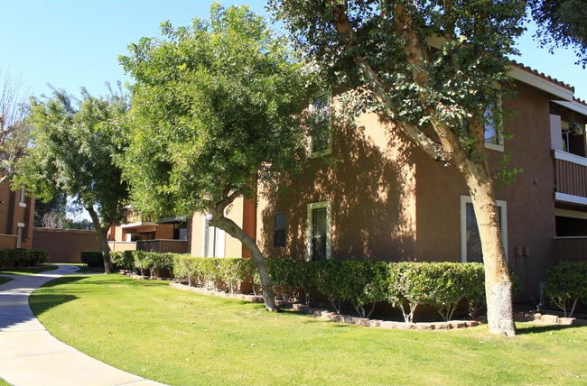 Smoketree Apartments Indio