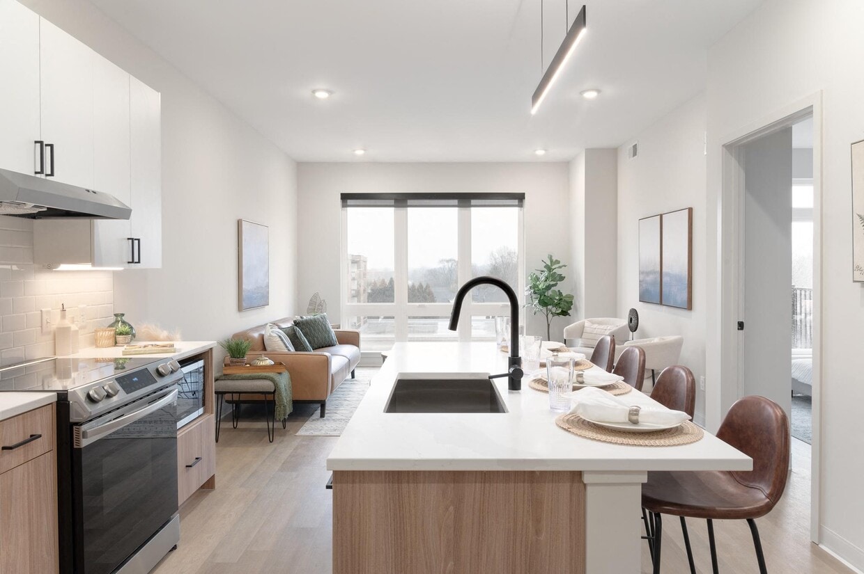 Primary Photo - Orris