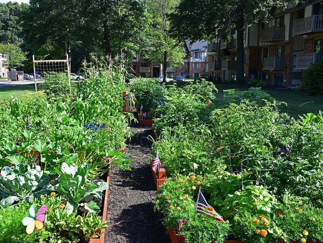 Jardines en el complejo - Woodland Place Apartments