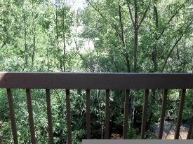 2BR/2BA, vaulted ceilings, pool, parking, W/D included, more! (SC308) - 2BR/2BA, vaulted ceilings, pool, parking, W/D included, more! (SC308) House
