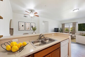 Siena Apartments