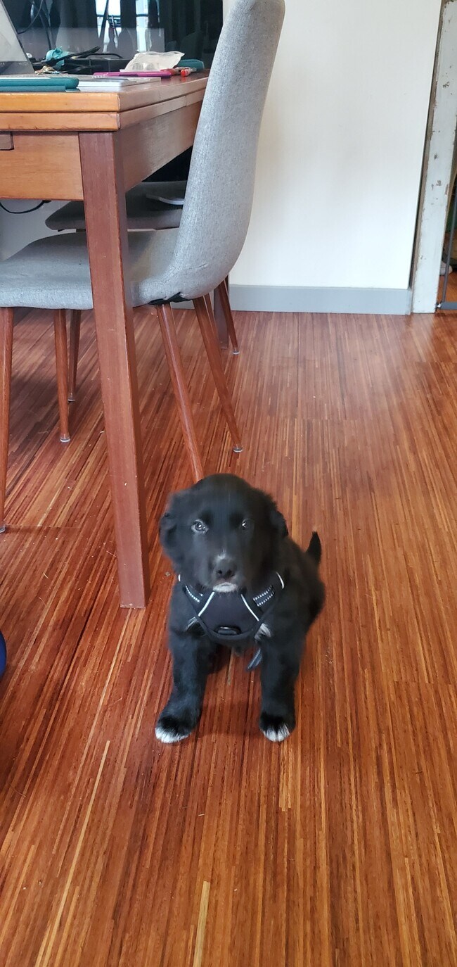 Foto del edificio - 12220 Densmore Ave N