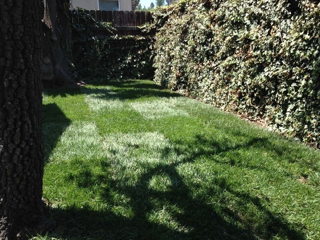 Foto del edificio - 6116 Fountain Ave