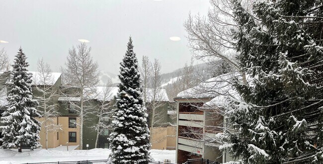 Foto del edificio - 1040 Vail View Dr