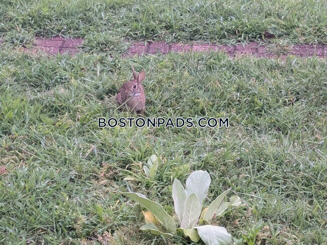 Foto del edificio - 15 Governor Rd