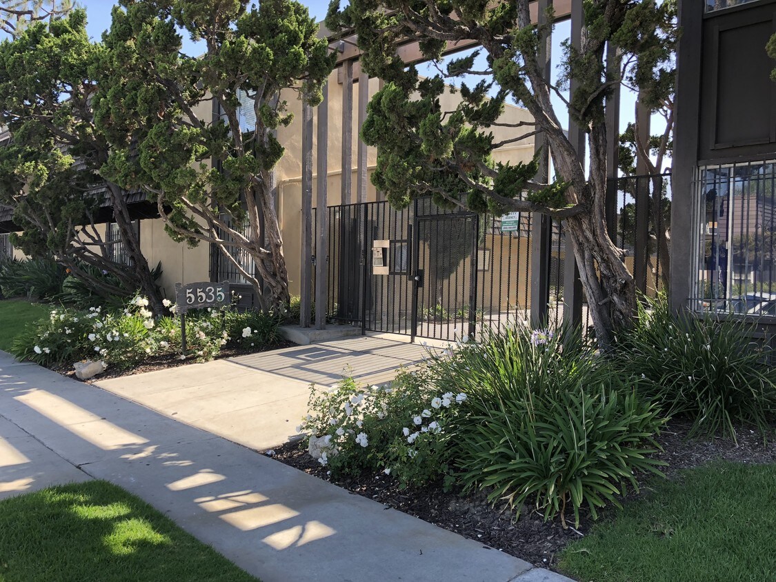 street view - 5535 Ackerfield Ave