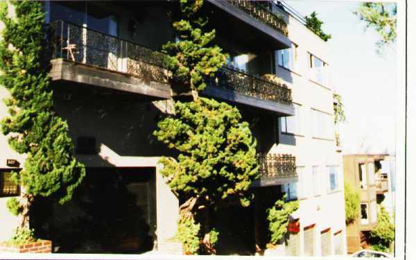 Foto del edificio - 1409 Montgomery St