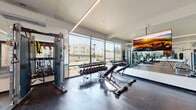 The Vela Fitness Center is a contemporary, thoughtfully designed workout facility that offers a comprehensive range of equipment and amenities for residents. The space is bathed in natural light, thanks to expansive floor-to-ceiling glass windows that frame views of the surrounding outdoor landscape, creating an open and energizing atmosphere throughout.

The fitness center is organized into distinct functional zones. The free weights area features a full rack of dumbbells, adjustable benches, and a cable machine system, along with resistance bands and accessories for versatile strength training. A dedicated cardio section houses multiple treadmills, elliptical trainers, stationary bikes, and rowing machines, all positioned to take advantage of the natural light and outdoor views. The strength equipment zone includes several cable and selectorized machines designed for targeted muscle training.

Full-length mirrors line the walls, amplifying the sense of space and aiding in proper form during workouts. Linear LED lighting runs along the ceiling, supplementing the abundant natural light with a clean, modern aesthetic. The durable speckled rubber flooring throughout provides both safety and comfort.

A built-in refreshment station with a wine cooler and cabinetry offers a convenient amenity within the space. A large wall-mounted flat-screen TV adds an entertainment element. The facility is climate-controlled with a wall-mounted HVAC unit, ensuring year-round comfort for all users.