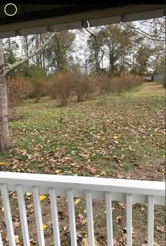 Foto del edificio - 26340 AL-41