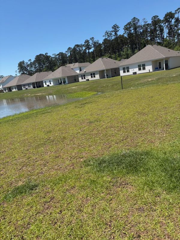 Foto del edificio - 24354 Gadwall Ave