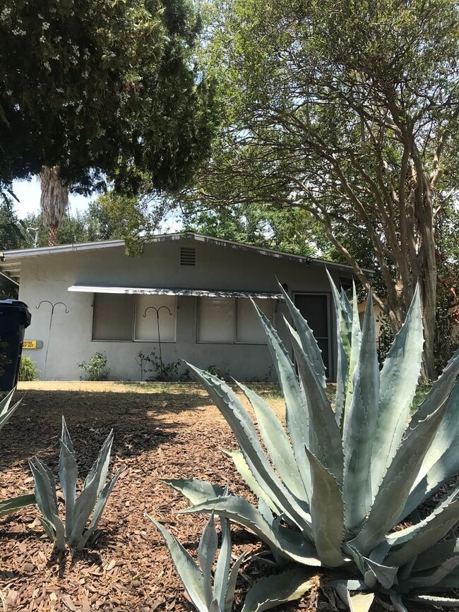 High Street (DD) - High Street (DD) Apartment