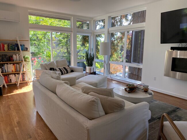 Living room with view of redwood tree, and many adjacent trees - 2042 NW 62nd St