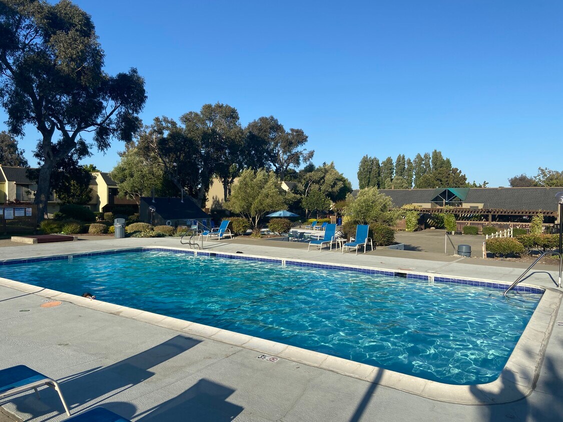 Large Heated Pool Across Street - 1104 Verdemar Dr