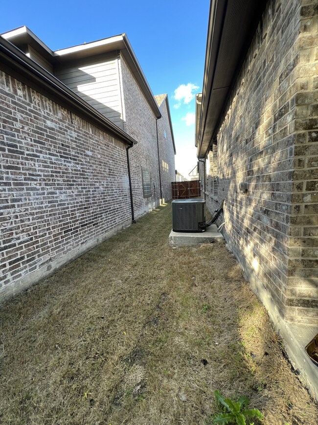 Backyard - 4504 Refugio Dr