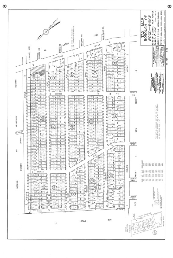 Mapa de la parcela - 245 Valley Blvd