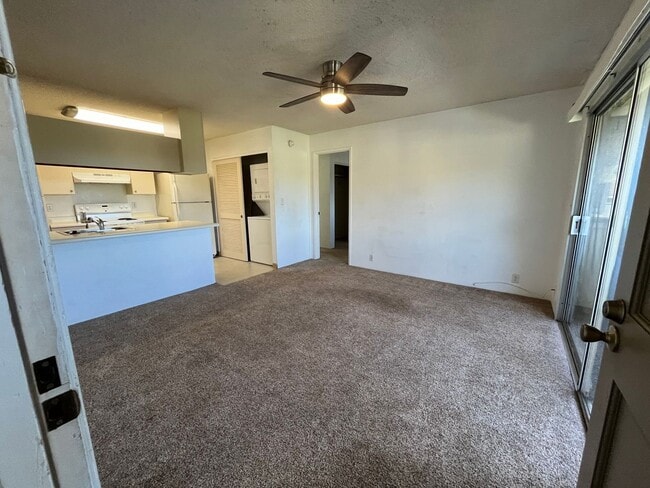 Building Photo - 217x