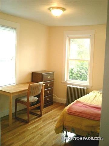 Primary Photo - 36 Shepard St