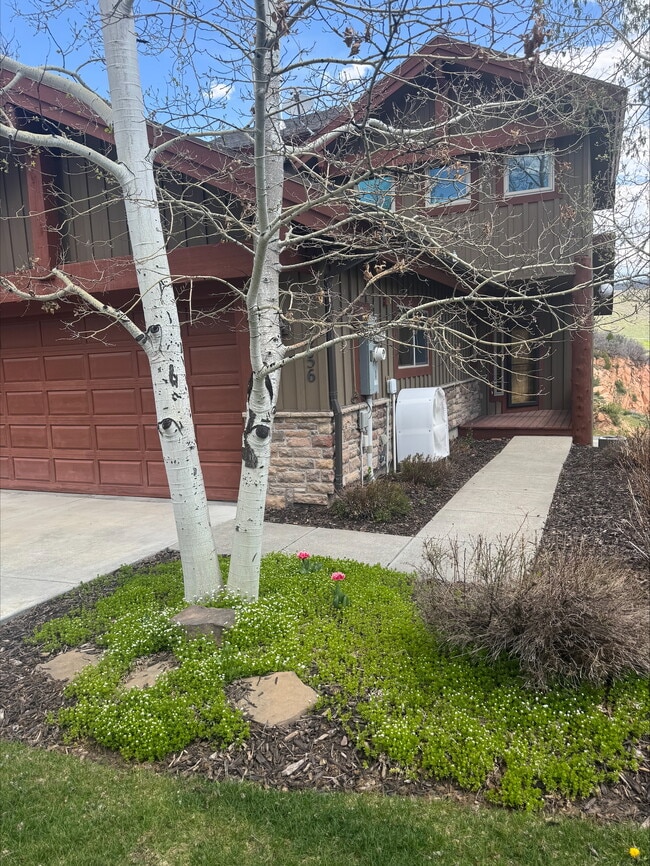 Building Photo - 3356 Cedar Dr