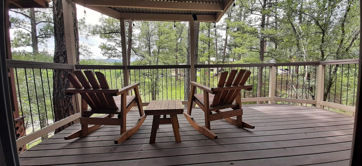 back deck - 209 N Eagle Dr