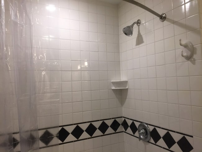 main bath - 88 N Prospect St