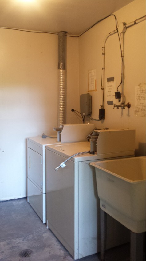 Laundry area - 305 King Ave