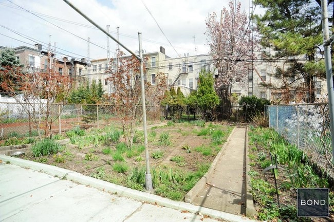 Building Photo - 548 Leonard St