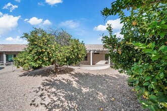 Building Photo - 17720 N Havasupai Dr