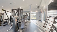 This expansive fitness center offers a comprehensive, professionally appointed workout facility across a single open floor. The space is designed with a clean, modern aesthetic, featuring white walls, structural columns, and a recessed ceiling with abundant can lighting that keeps the environment bright and energizing. Durable speckled rubber flooring provides both safety and comfort throughout the workout area. Floor-to-ceiling windows with cross-brace detailing line multiple walls, flooding the interior with natural light and offering views of a resort-style outdoor pool and surrounding grounds. The fitness floor is thoughtfully divided into distinct training zones. A dedicated cardio section houses a row of stationary bikes with monitor screens, elliptical trainers, stair climbers, and treadmills, all positioned along the expansive window wall. The strength training zone features a full array of Hoist cable machines and multi-use weight stations, along with free weights and a squat rack. A functional training area includes balance tools, stability balls, resistance equipment, and wall-mounted storage racks. Full-length mirrors enhance the sense of space and allow for proper form monitoring. The overall ambiance is open, light-filled, and well-organized, providing a complete fitness experience.