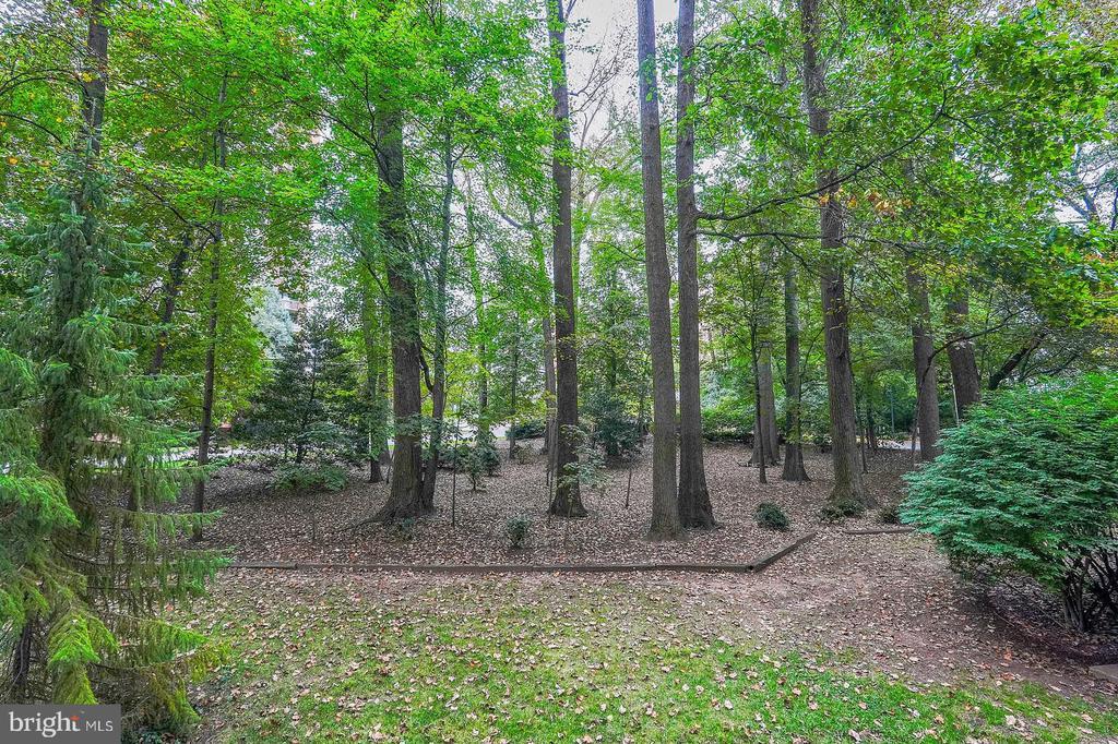 Foto principal - 5802 Nicholson Ln