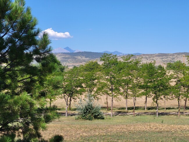 Vista Oeste - 15781 N 83rd St