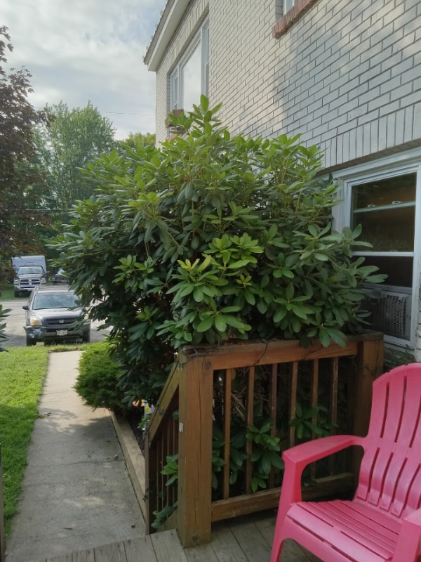 Foto del edificio - 199 Main St