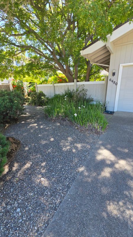 Foto del edificio - 6480 Havenside Dr