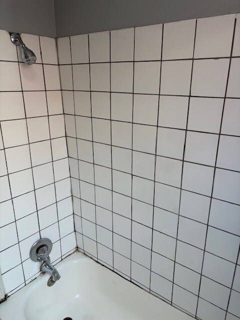 Shower / Tub - 24 Klagg Ave