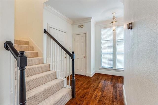 Building Photo - 3537 Normandy Ave