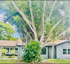 Building Photo - 857 Banyan Dr