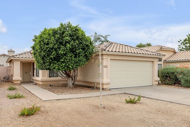 Gilbert Rental - Gilbert Rental House
