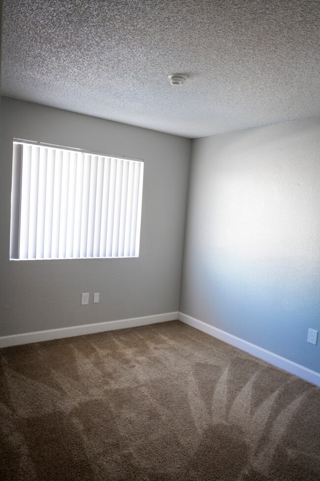 Building Photo - Arbor Pointe Apartments