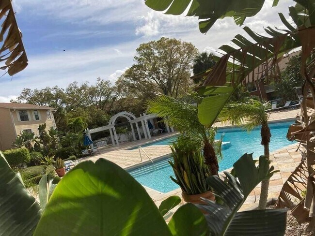 Huge pool - 225 S Tropical Trl