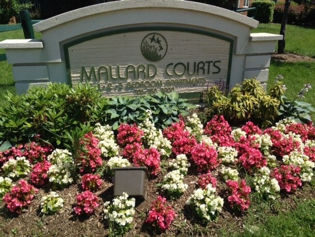 Interior Photo - Mallard Court Apartments