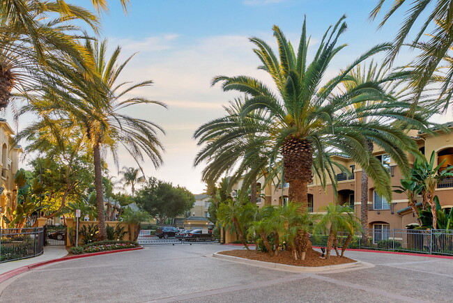 Foto del edificio - Allure at Scripps Ranch
