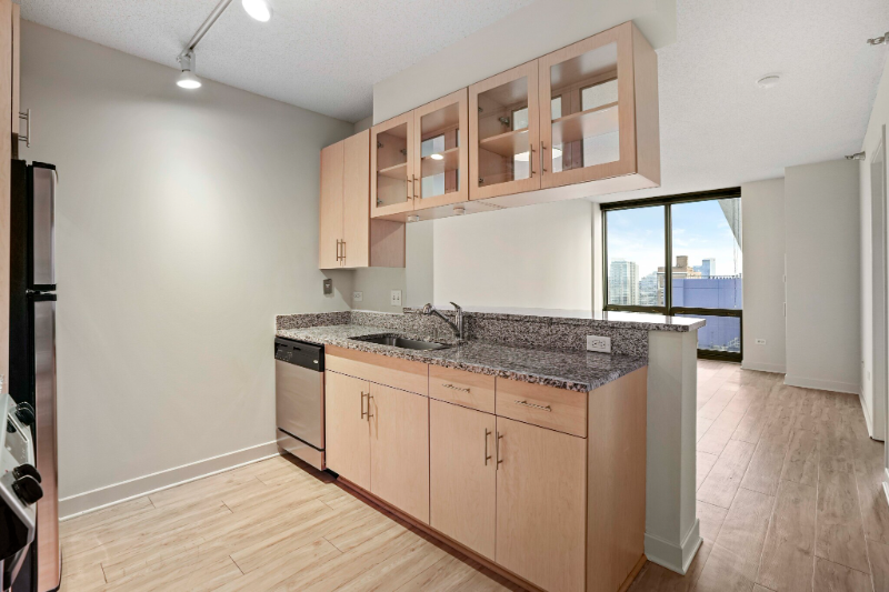 Foto principal - 1153 S Michigan Ave