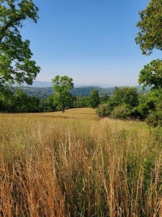 Foto del edificio - Writer's Retreat is a sweet rustic log cabin with 1 BR, 1 Ba located 4 miles from Lexington.