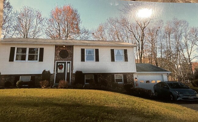 The beauty of fall colors - 7288 Beechtree Ln