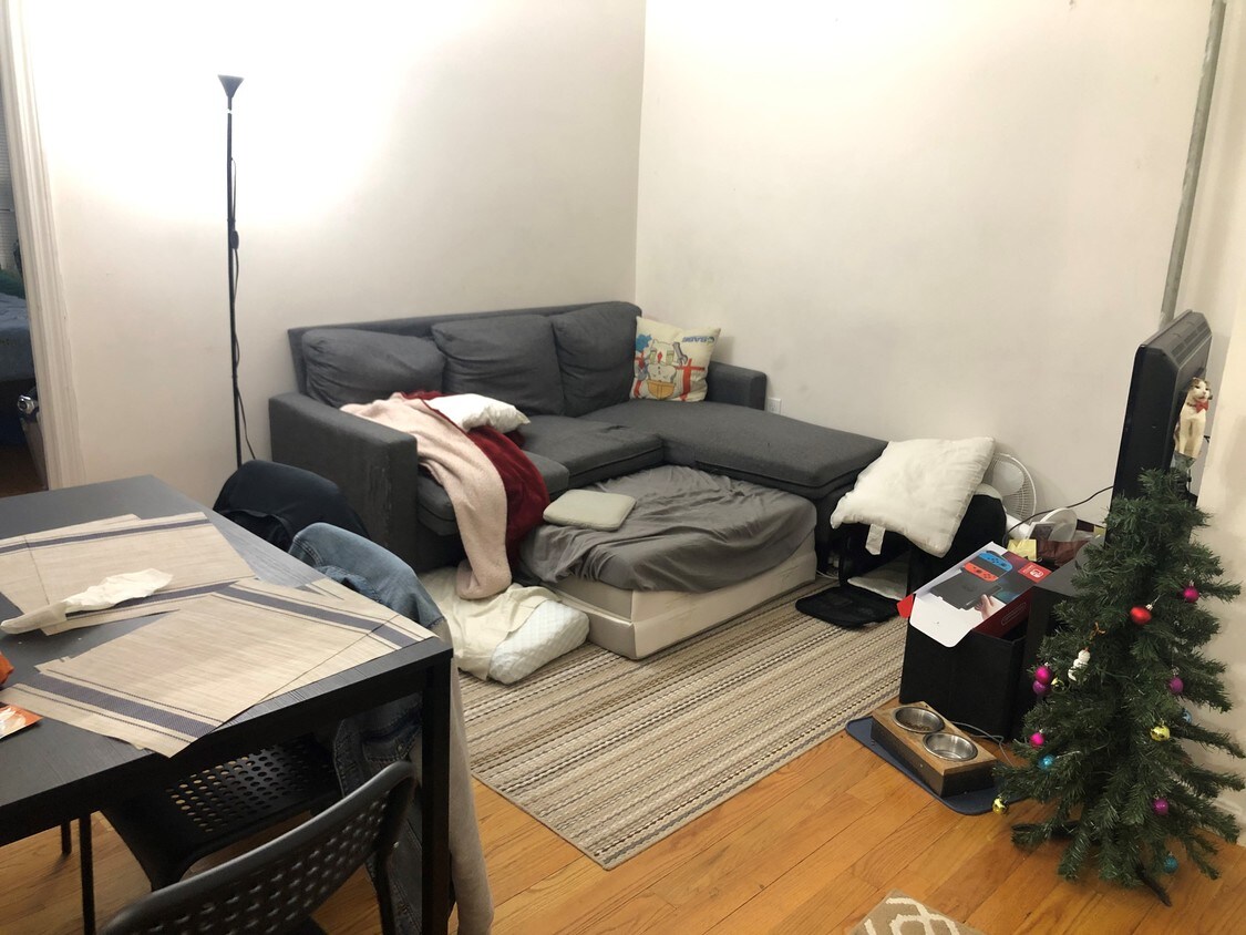 58 Westland Ave Unit Boston Ma 02115 Apartment For Rent In Primary Photo 58 Westland Ave