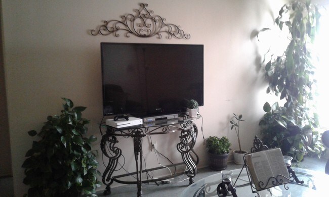 Televisor de pantalla grande - 1209 Krause Ct