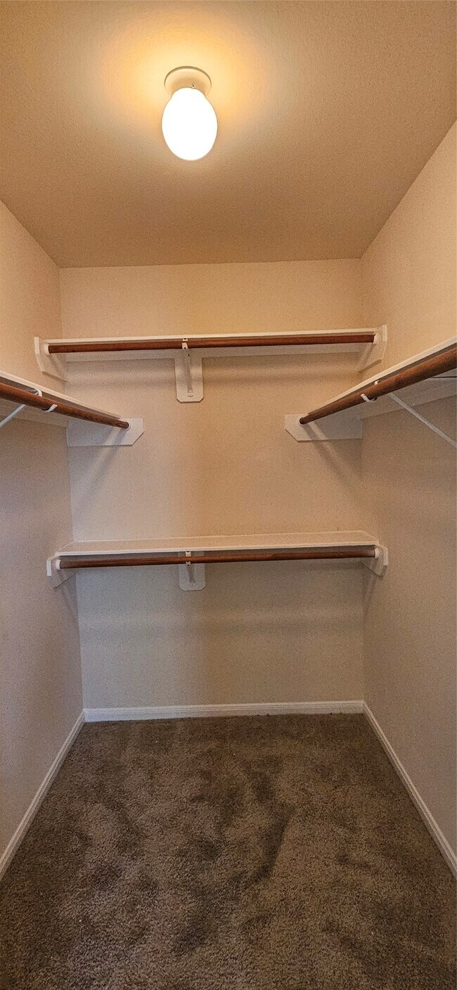 Building Photo - 2519 Pine Shadows Dr