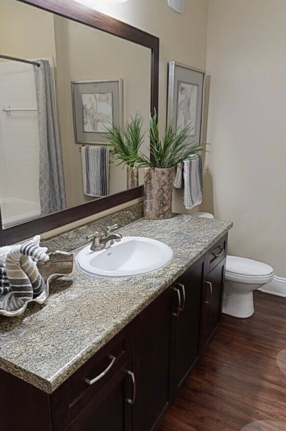 Foto principal - 7000 Thrushgill Ln